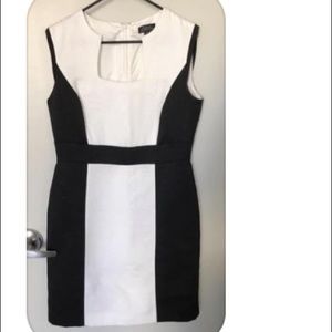 Tahari Color Block Dress